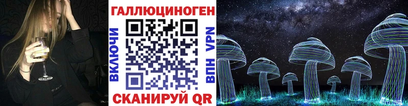 площадка наркотические препараты  mega как войти  Гороховец  Галлюциногенные грибы Cubensis 